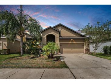Photo one of 12428 Ballentrae Forest Dr Riverview FL 33579 | MLS T3515503