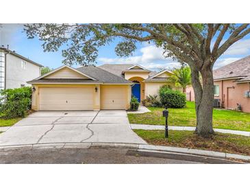 Photo one of 19003 Falcons Pl Tampa FL 33647 | MLS T3515690