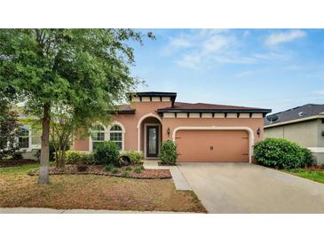 Photo one of 11110 Spring Point Cir Riverview FL 33579 | MLS T3515703