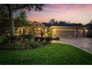 Photo one of 16117 Ternglade Dr Lithia FL 33547 | MLS T3515786