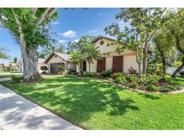 Photo one of 2513 Bucknell Dr Valrico FL 33596 | MLS T3515906