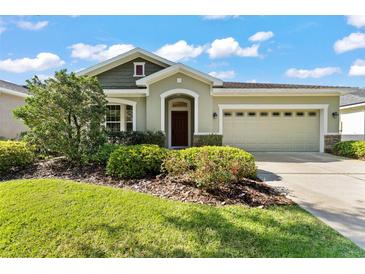Photo one of 15852 Starling Water Dr Lithia FL 33547 | MLS T3515983