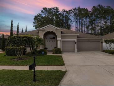 Photo one of 20803 Woodvale Ln Land O Lakes FL 34638 | MLS T3516196