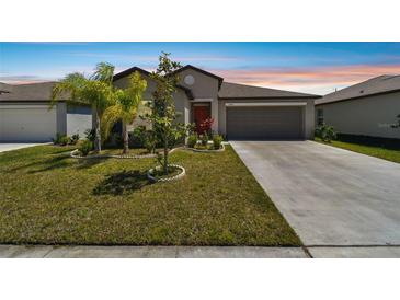 Photo one of 13642 Wild Ginger St Riverview FL 33579 | MLS T3516503