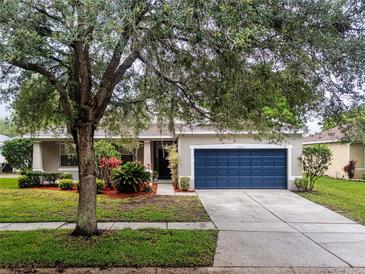 Photo one of 11045 Holly Cone Dr Riverview FL 33569 | MLS T3516543