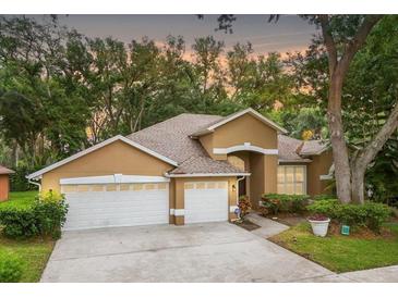 Photo one of 2243 Eagle Bluff Dr Valrico FL 33596 | MLS T3516628