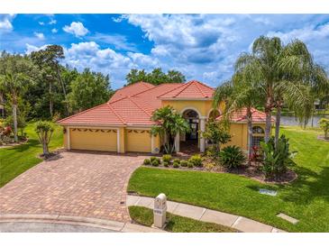 Photo one of 17922 Arbor Haven Dr Tampa FL 33647 | MLS T3516675