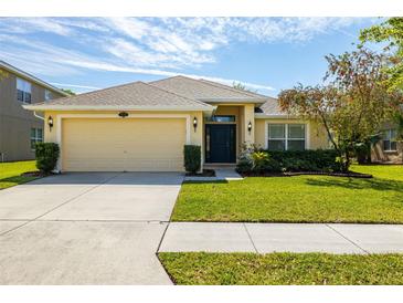 Photo one of 20225 Natures Spirit Dr Tampa FL 33647 | MLS T3516914