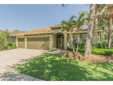 Photo one of 15742 Starling Water Dr Lithia FL 33547 | MLS T3516997