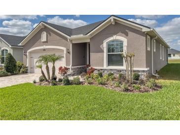Photo one of 13102 Satin Lily Dr Riverview FL 33579 | MLS T3517077