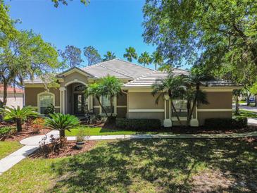 Photo one of 10232 Estuary Dr Tampa FL 33647 | MLS T3517152