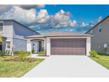 Photo one of 10356 Blue Plume Ct Riverview FL 33578 | MLS T3517277
