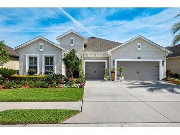 Photo one of 4844 Pointe O Woods Dr Wesley Chapel FL 33543 | MLS T3517942