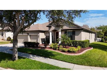 Photo one of 12710 Trinity Springs Ln Riverview FL 33569 | MLS T3517955