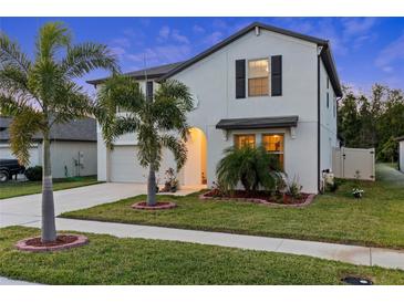 Photo one of 719 Timeless Moss Dr Ruskin FL 33570 | MLS T3518437
