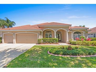 Photo one of 10260 Estuary Dr Tampa FL 33647 | MLS T3518538