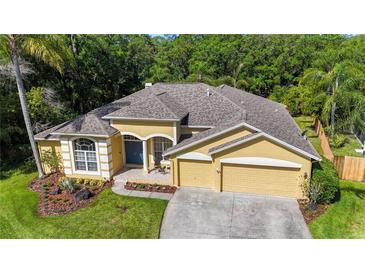 Photo one of 10612 Chambers Dr Tampa FL 33626 | MLS T3519276