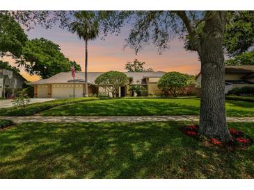 Photo one of 18105 Clear Lake Dr Lutz FL 33548 | MLS T3519703