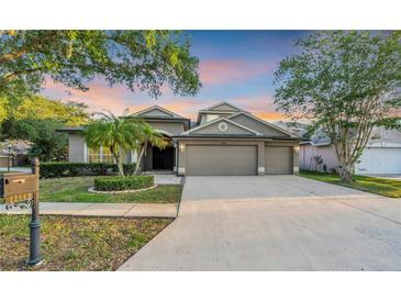 Photo one of 12843 Stanwyck Cir Tampa FL 33626 | MLS T3519853