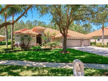 Photo one of 10254 Arbor Side Dr Tampa FL 33647 | MLS T3519888