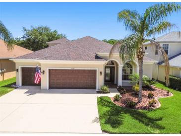 Photo one of 10530 Sky Flower Ct Land O Lakes FL 34638 | MLS T3520635