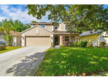 Photo one of 10942 May Apple Ct Land O Lakes FL 34638 | MLS T3520686