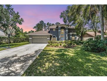 Photo one of 17905 Clear Lake Dr Lutz FL 33548 | MLS T3520921