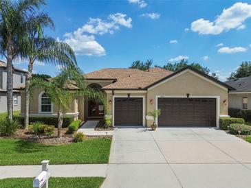Photo one of 1430 Beaconsfield Dr Wesley Chapel FL 33543 | MLS T3520945
