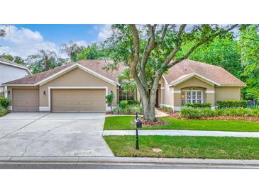 Photo one of 10508 Chambers Dr Tampa FL 33626 | MLS T3520958