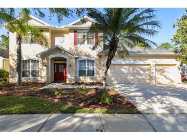Photo one of 16159 Colchester Palms Dr Tampa FL 33647 | MLS T3520959