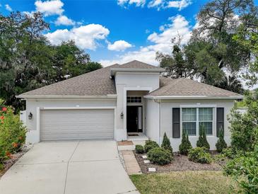 Photo one of 8314 Willow Beach Dr Riverview FL 33578 | MLS T3521030