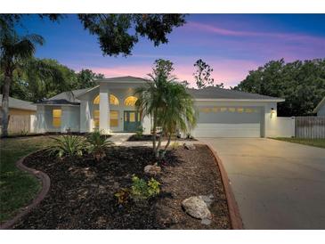 Photo one of 9818 Sunnyoak Dr Riverview FL 33569 | MLS T3521204