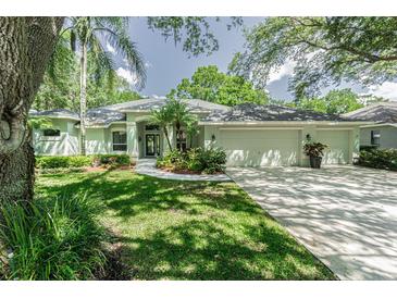 Photo one of 2250 Eagle Bluff Dr Valrico FL 33596 | MLS T3521208