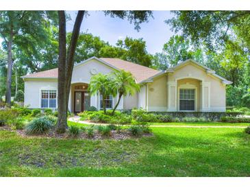 Photo one of 407 Forest Breeze Ave Brandon FL 33511 | MLS T3521494