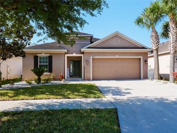 Photo one of 8717 Deep Maple Dr Riverview FL 33578 | MLS T3521582