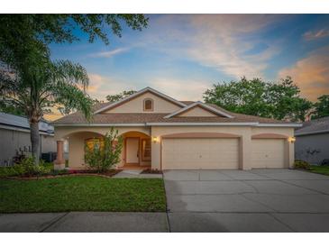 Photo one of 12814 Cattail Shore Ln Riverview FL 33579 | MLS T3521704