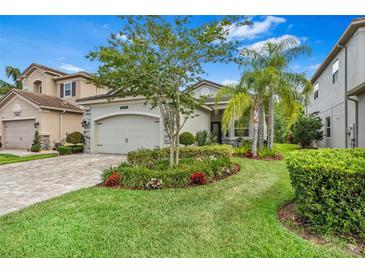 Photo one of 30626 Ceasar Park Dr Wesley Chapel FL 33543 | MLS T3521958