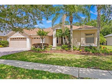 Photo one of 17359 Emerald Chase Dr Tampa FL 33647 | MLS T3522030