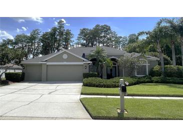 Photo one of 16912 Filly Ln Odessa FL 33556 | MLS T3522512