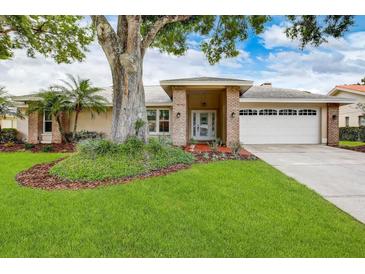 Photo one of 15510 Fentress Ct Tampa FL 33647 | MLS T3522661