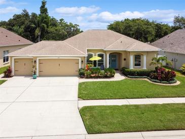 Photo one of 1113 Sweet Breeze Dr Valrico FL 33594 | MLS T3522714