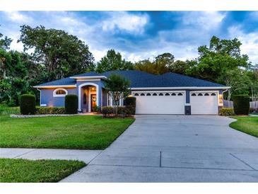 Photo one of 9917 Country Carriage Cir Riverview FL 33569 | MLS T3522790