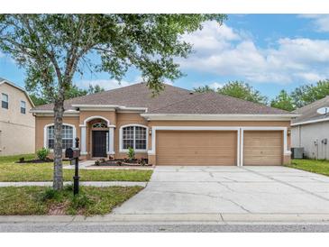 Photo one of 11717 Summer Springs Dr Riverview FL 33579 | MLS T3523123