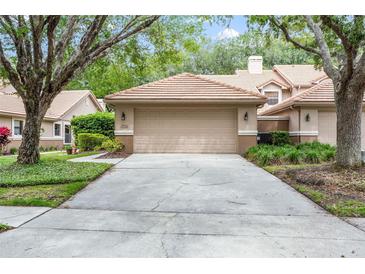 Photo one of 17550 Fairmeadow Dr Tampa FL 33647 | MLS T3523172