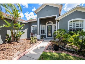 Gray house with landscaping and walkway at 19211 Pelican Ridge Ln, Tampa, FL 33647
