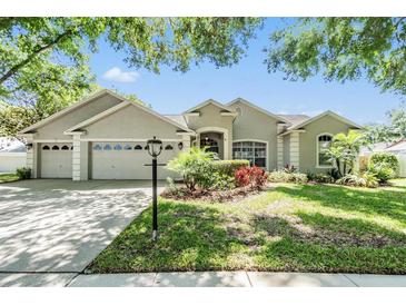 Photo one of 3907 Rolling Terrace Ln Valrico FL 33596 | MLS T3523442