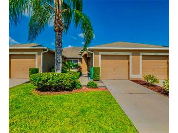 Photo one of 13313 Ashbark Ct Riverview FL 33579 | MLS T3523464