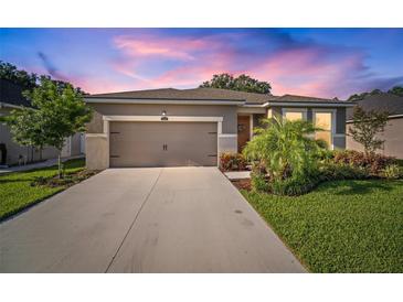 Photo one of 13011 Satin Lily Dr Riverview FL 33579 | MLS T3524009