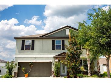 Photo one of 13268 Jeter Creek Dr Riverview FL 33579 | MLS T3524028