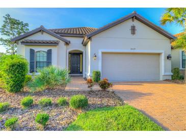 Photo one of 20179 Umbria Hill Dr Tampa FL 33647 | MLS T3524251